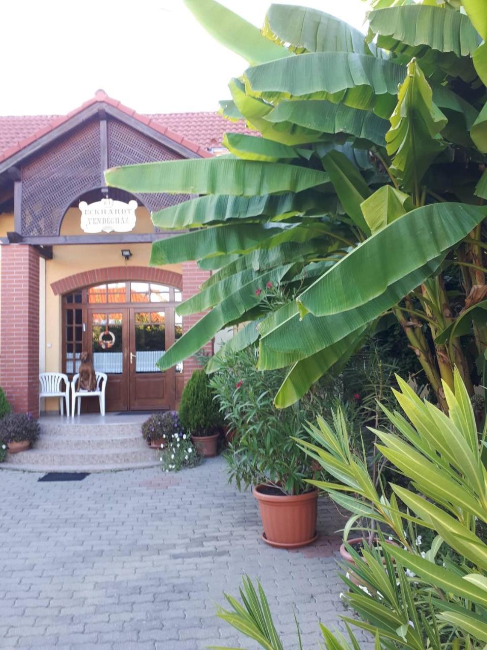 Eckhardt Vendeghaz Hotell Villány Exteriör bild